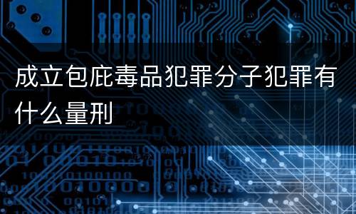 成立包庇毒品犯罪分子犯罪有什么量刑