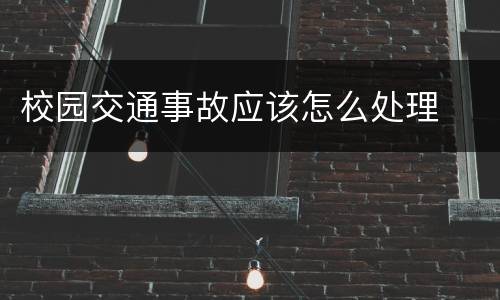 校园交通事故应该怎么处理