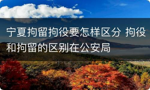 宁夏拘留拘役要怎样区分 拘役和拘留的区别在公安局