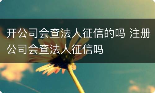 开公司会查法人征信的吗 注册公司会查法人征信吗