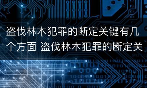 盗伐林木犯罪的断定关键有几个方面 盗伐林木犯罪的断定关键有几个方面