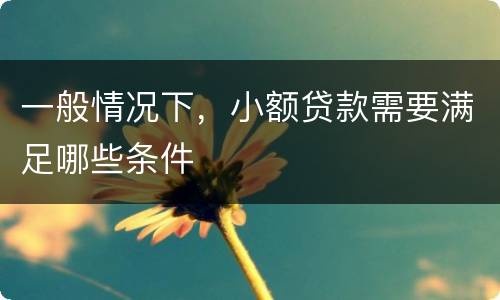 一般情况下，小额贷款需要满足哪些条件