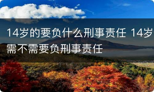 14岁的要负什么刑事责任 14岁需不需要负刑事责任