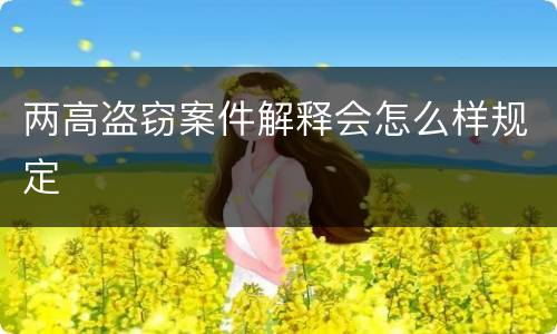 两高盗窃案件解释会怎么样规定