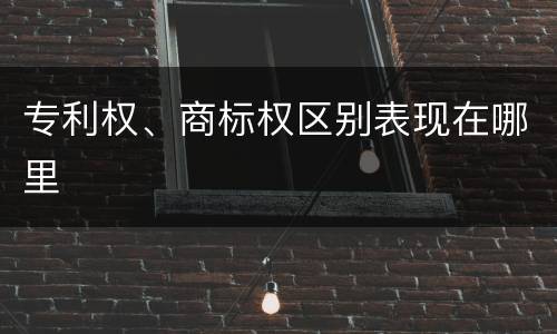 专利权、商标权区别表现在哪里