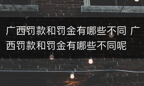 广西罚款和罚金有哪些不同 广西罚款和罚金有哪些不同呢