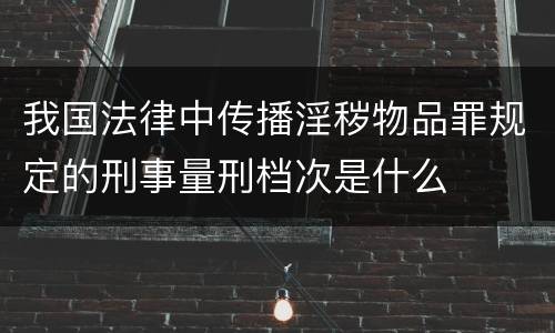我国法律中传播淫秽物品罪规定的刑事量刑档次是什么