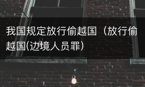 我国规定放行偷越国（放行偷越国(边境人员罪）