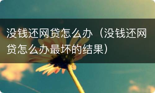 没钱还网贷怎么办（没钱还网贷怎么办最坏的结果）