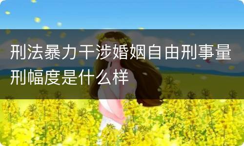 刑法暴力干涉婚姻自由刑事量刑幅度是什么样