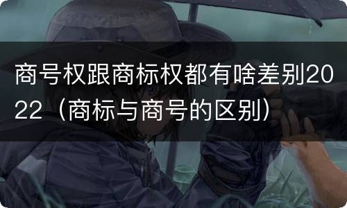 商号权跟商标权都有啥差别2022（商标与商号的区别）