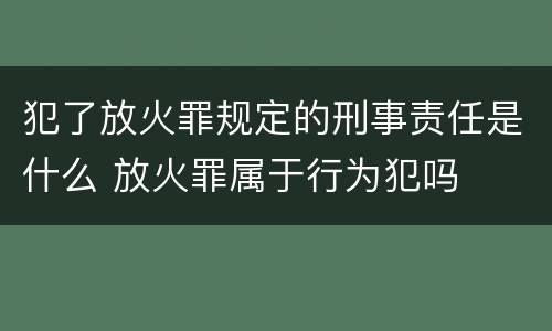 犯了放火罪规定的刑事责任是什么 放火罪属于行为犯吗