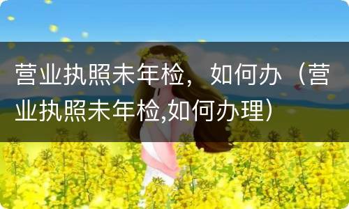 营业执照未年检，如何办（营业执照未年检,如何办理）