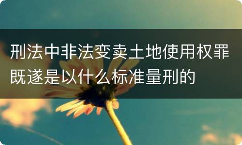 刑法中非法变卖土地使用权罪既遂是以什么标准量刑的