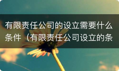 有限责任公司的设立需要什么条件（有限责任公司设立的条件?）