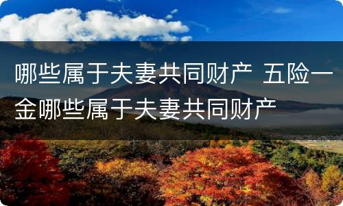 哪些属于夫妻共同财产 五险一金哪些属于夫妻共同财产