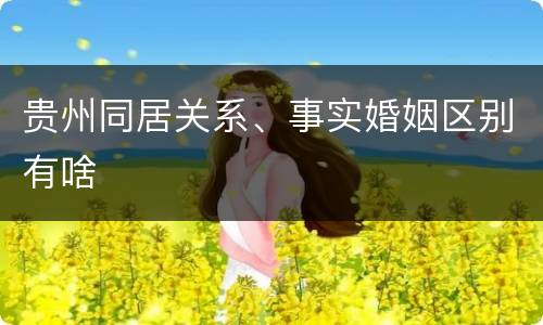 贵州同居关系、事实婚姻区别有啥