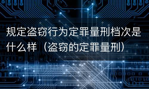 规定盗窃行为定罪量刑档次是什么样（盗窃的定罪量刑）