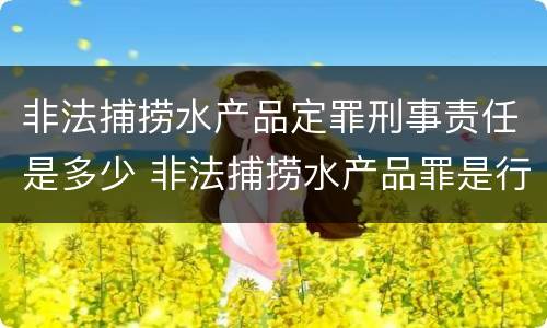 非法捕捞水产品定罪刑事责任是多少 非法捕捞水产品罪是行为犯吗
