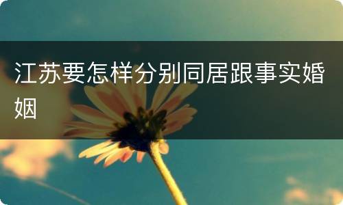 江苏要怎样分别同居跟事实婚姻