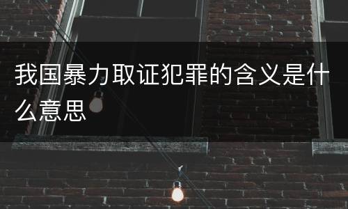 我国暴力取证犯罪的含义是什么意思