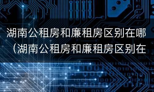湖南公租房和廉租房区别在哪（湖南公租房和廉租房区别在哪儿）