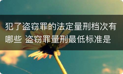 犯了盗窃罪的法定量刑档次有哪些 盗窃罪量刑最低标准是