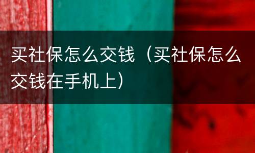 买社保怎么交钱（买社保怎么交钱在手机上）