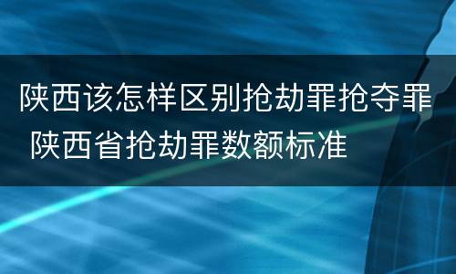 陕西该怎样区别抢劫罪抢夺罪 陕西省抢劫罪数额标准