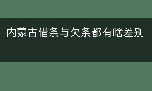 内蒙古借条与欠条都有啥差别