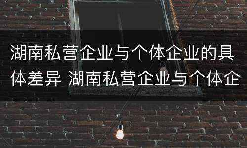 湖南私营企业与个体企业的具体差异 湖南私营企业与个体企业的具体差异是什么