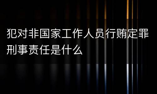 犯对非国家工作人员行贿定罪刑事责任是什么