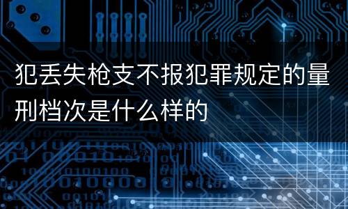 犯丢失枪支不报犯罪规定的量刑档次是什么样的