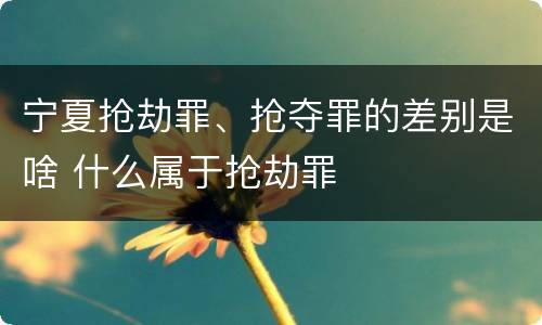 宁夏抢劫罪、抢夺罪的差别是啥 什么属于抢劫罪