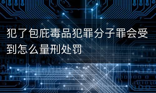 犯了包庇毒品犯罪分子罪会受到怎么量刑处罚