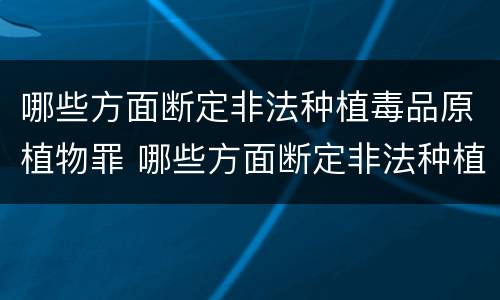 哪些方面断定非法种植毒品原植物罪 哪些方面断定非法种植毒品原植物罪的认定