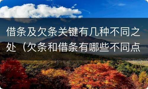 借条及欠条关键有几种不同之处（欠条和借条有哪些不同点）