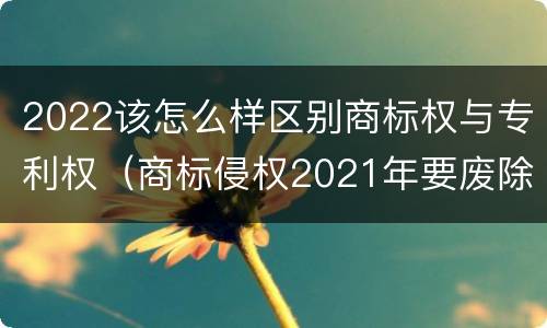 2022该怎么样区别商标权与专利权（商标侵权2021年要废除了吗）