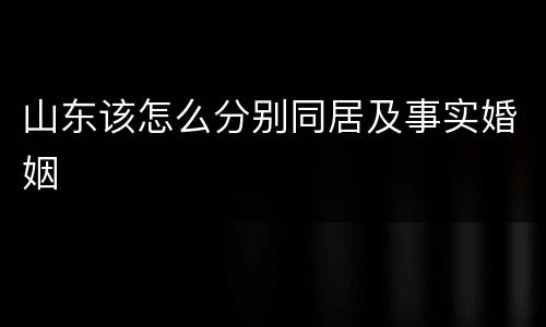 山东该怎么分别同居及事实婚姻