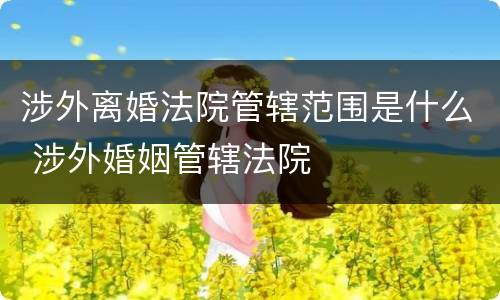 涉外离婚法院管辖范围是什么 涉外婚姻管辖法院