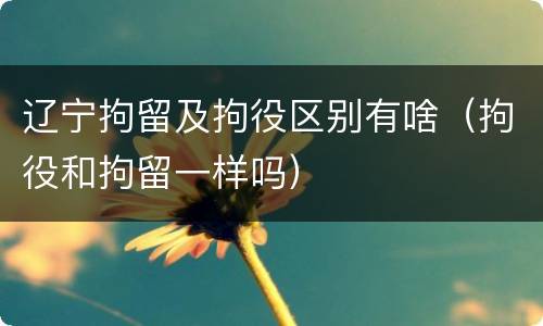 辽宁拘留及拘役区别有啥（拘役和拘留一样吗）