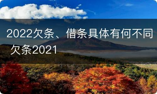 2022欠条、借条具体有何不同 欠条2021