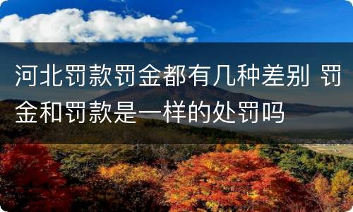 河北罚款罚金都有几种差别 罚金和罚款是一样的处罚吗