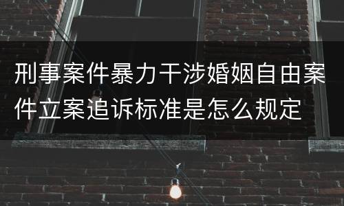 刑事案件暴力干涉婚姻自由案件立案追诉标准是怎么规定
