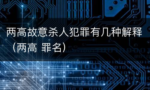 两高故意杀人犯罪有几种解释（两高 罪名）