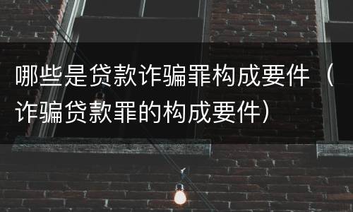 哪些是贷款诈骗罪构成要件（诈骗贷款罪的构成要件）