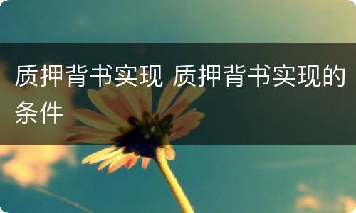 质押背书实现 质押背书实现的条件