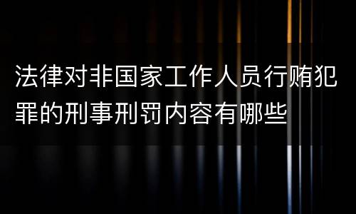 法律对非国家工作人员行贿犯罪的刑事刑罚内容有哪些
