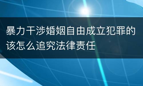 暴力干涉婚姻自由成立犯罪的该怎么追究法律责任