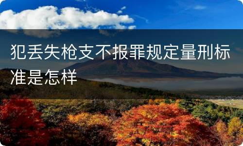 犯丢失枪支不报罪规定量刑标准是怎样